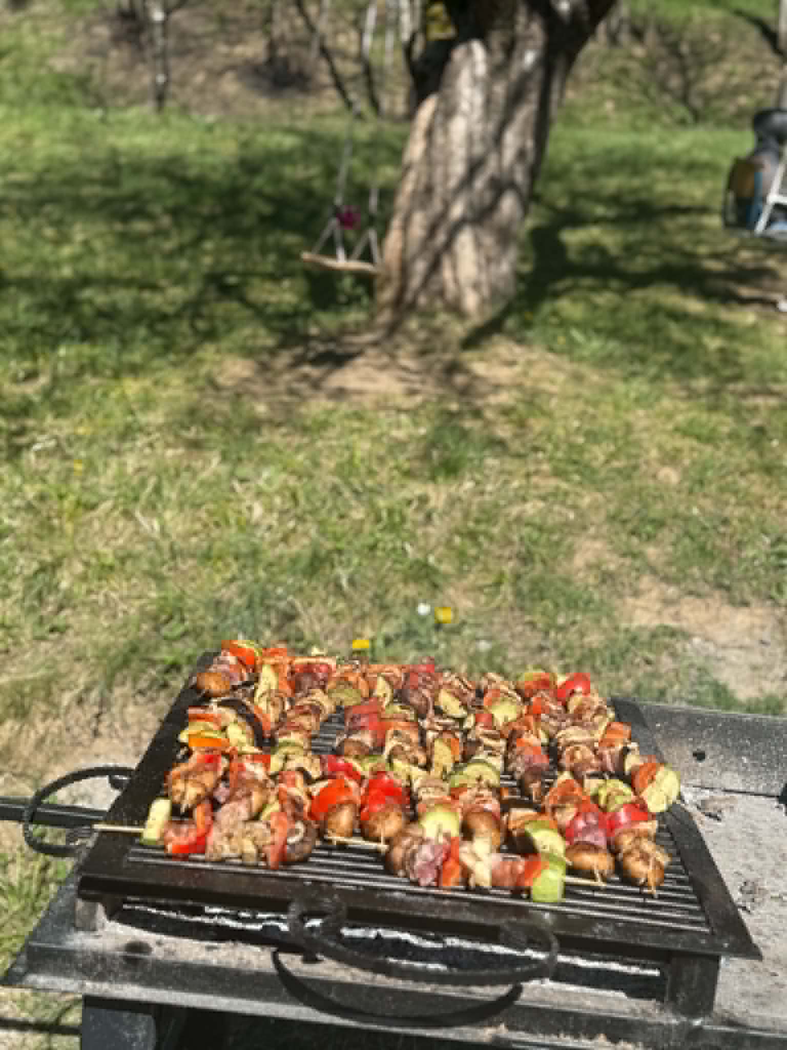Frigărui la grill, Zum Zet Land